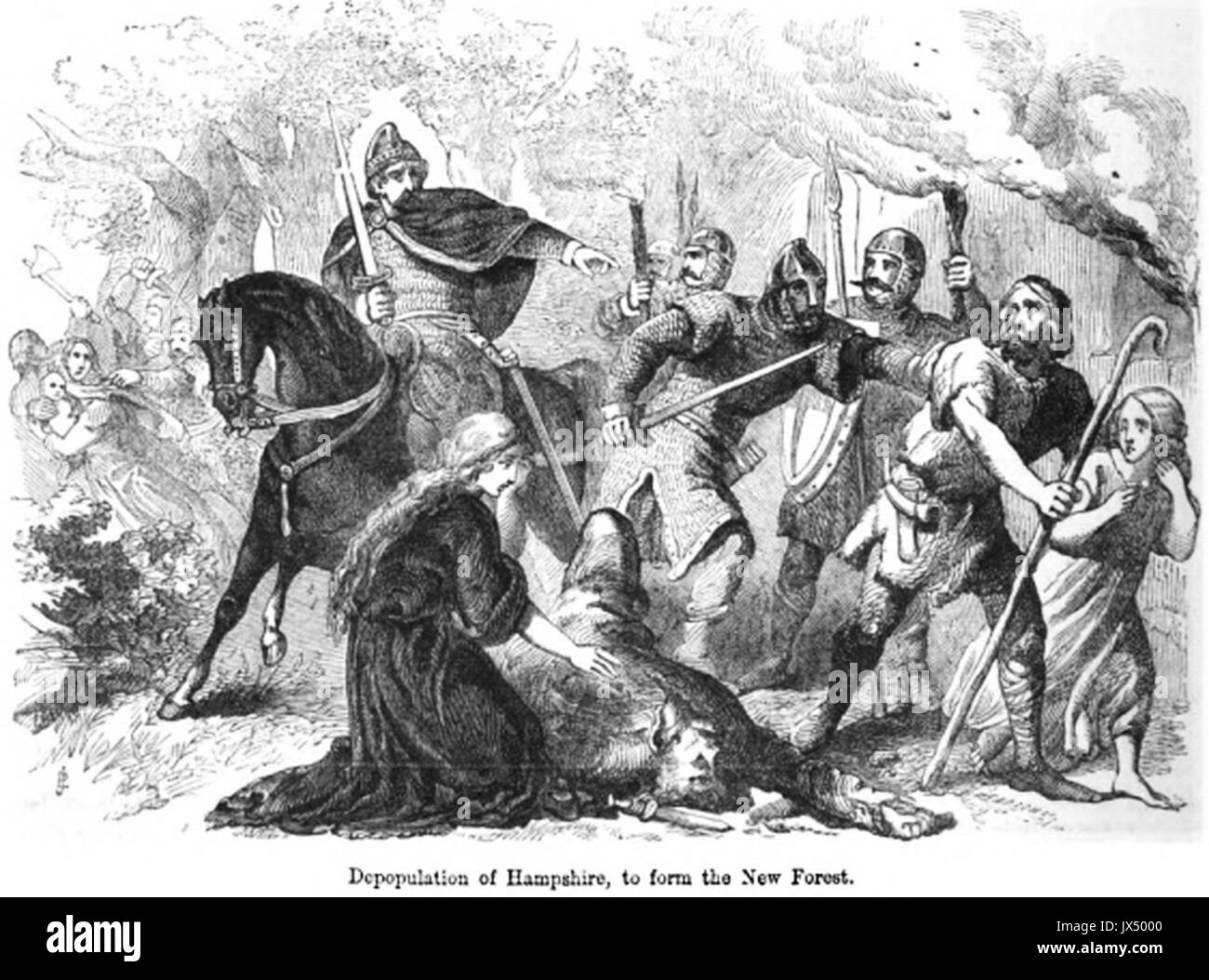 102 Entvölkerung von Hampshire New Forest zu bilden Stockfoto