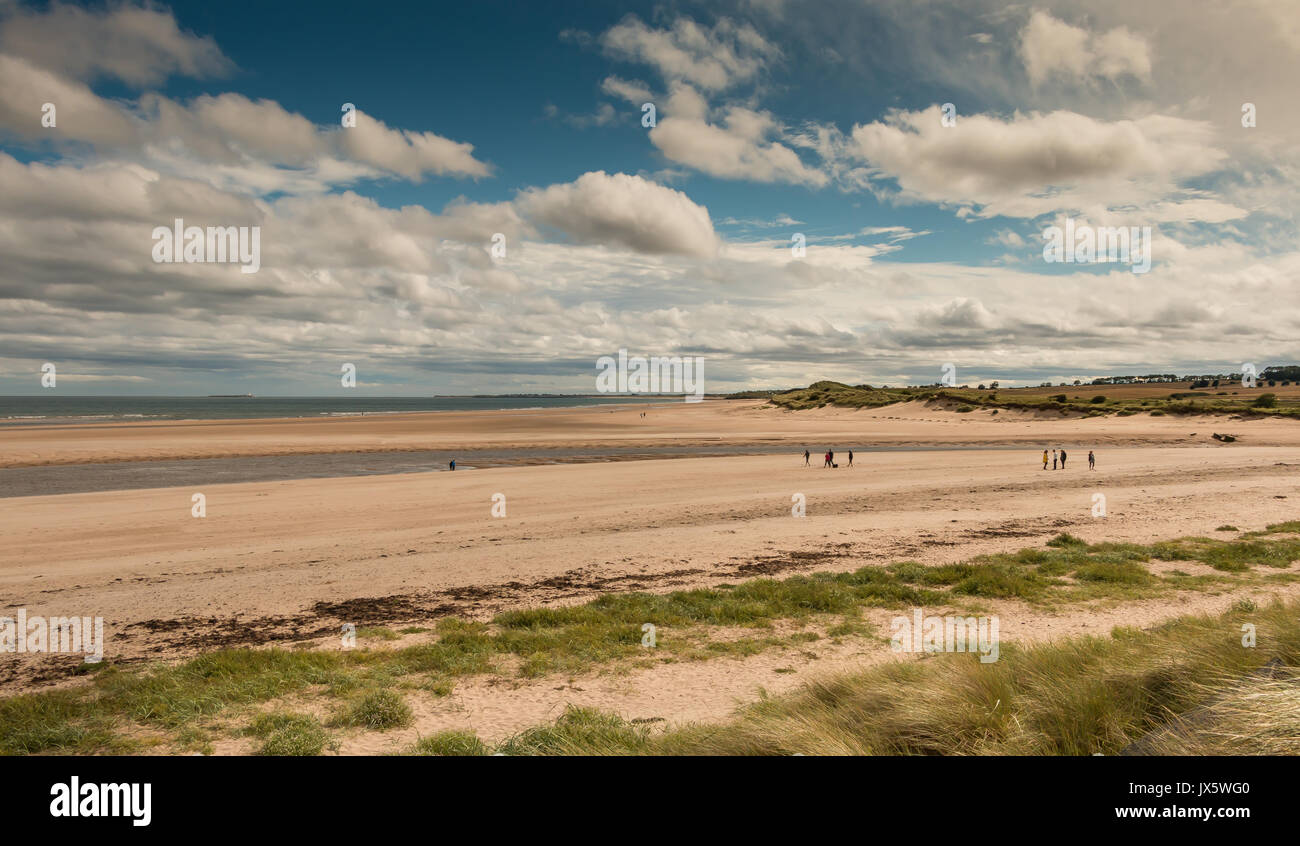 Alnmouth Strand und Mündung, Northumberland Küste, Großbritannien mit Platz kopieren Stockfoto