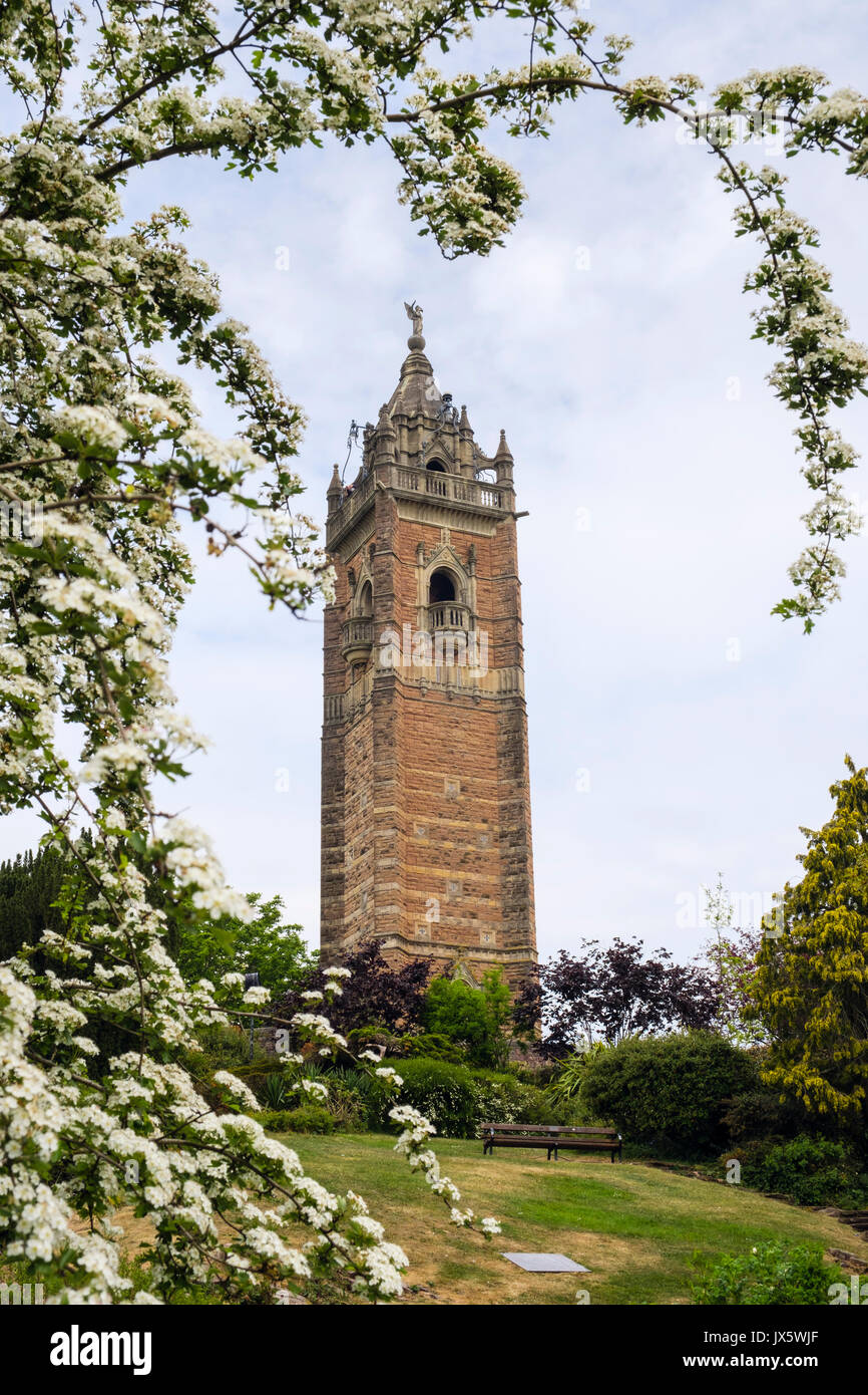 Cabot Tower ca. 1897 von blühenden Weißdorn (Rosa moschata) Bush im Frühjahr eingerahmt. Brandon Hill Park, Bristol, Avon, England, Großbritannien, Großbritannien Stockfoto