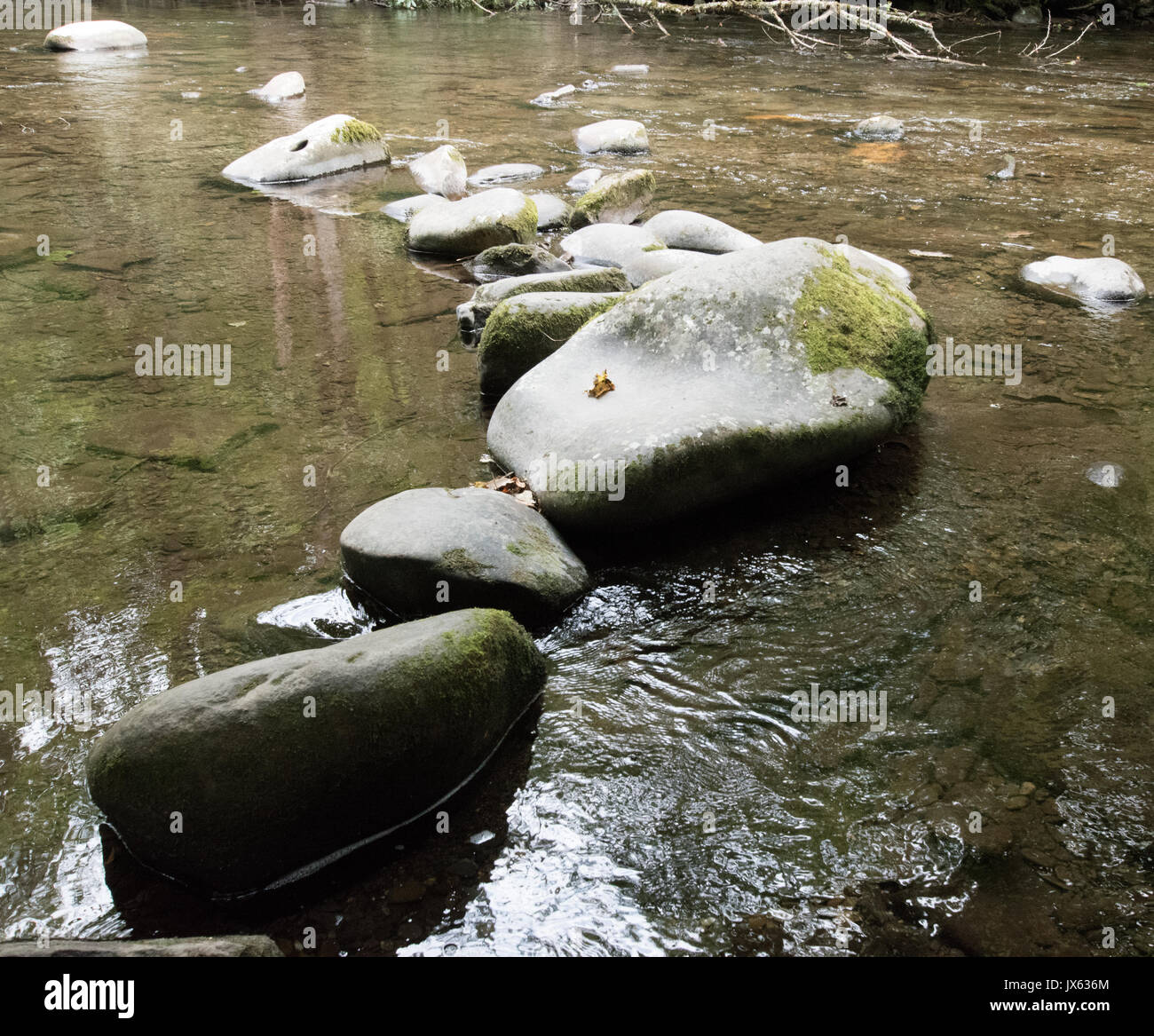 Steine in einem Appalachian Creek Stockfoto