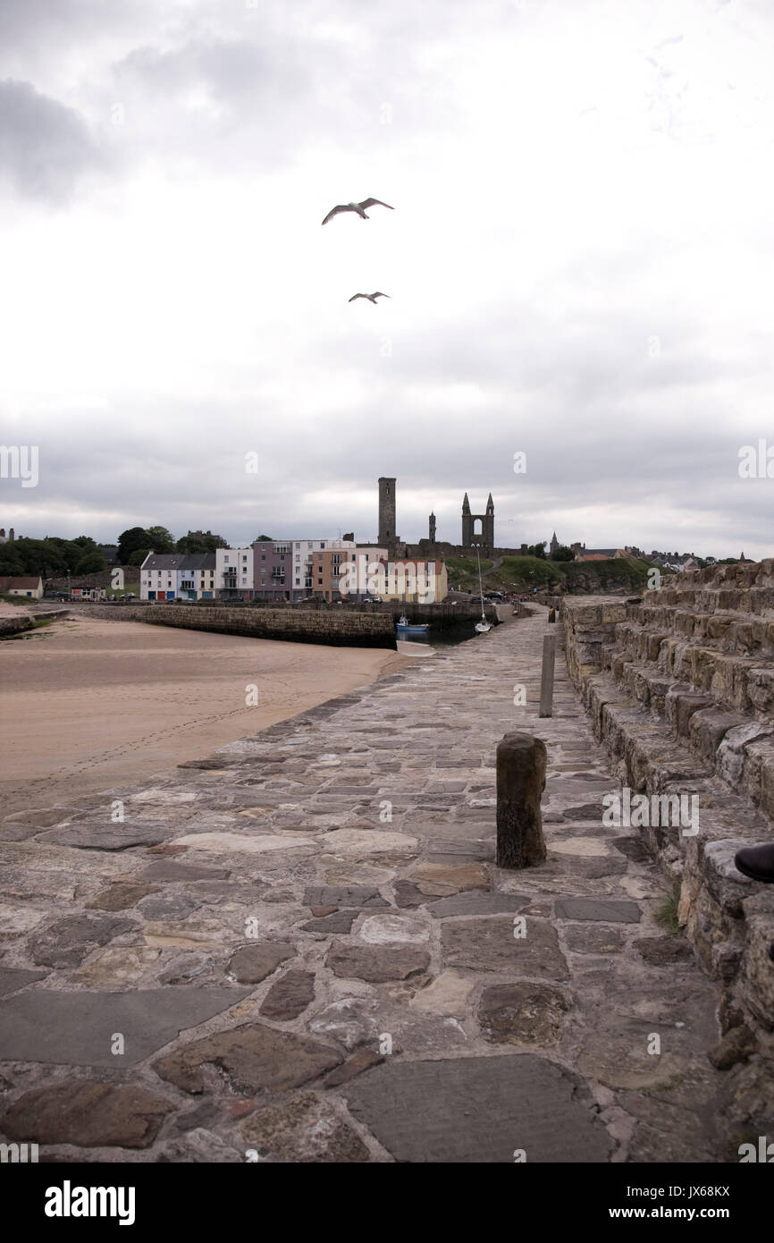 Blick auf St. Andrews Pier, Fife. Stockfoto