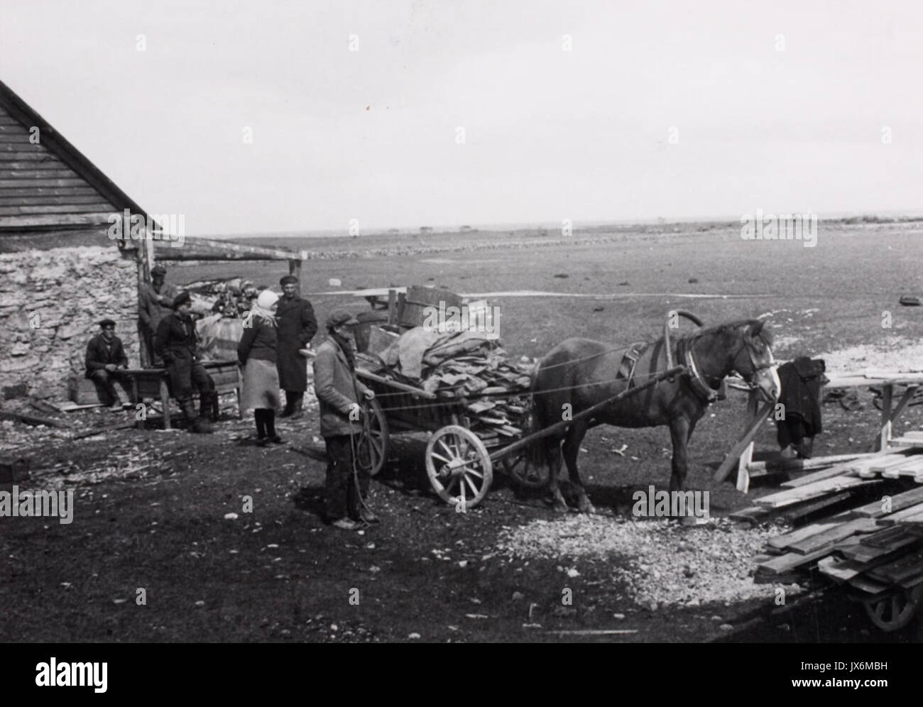 Sundevakueerumine Osmussaarelt Stockfoto