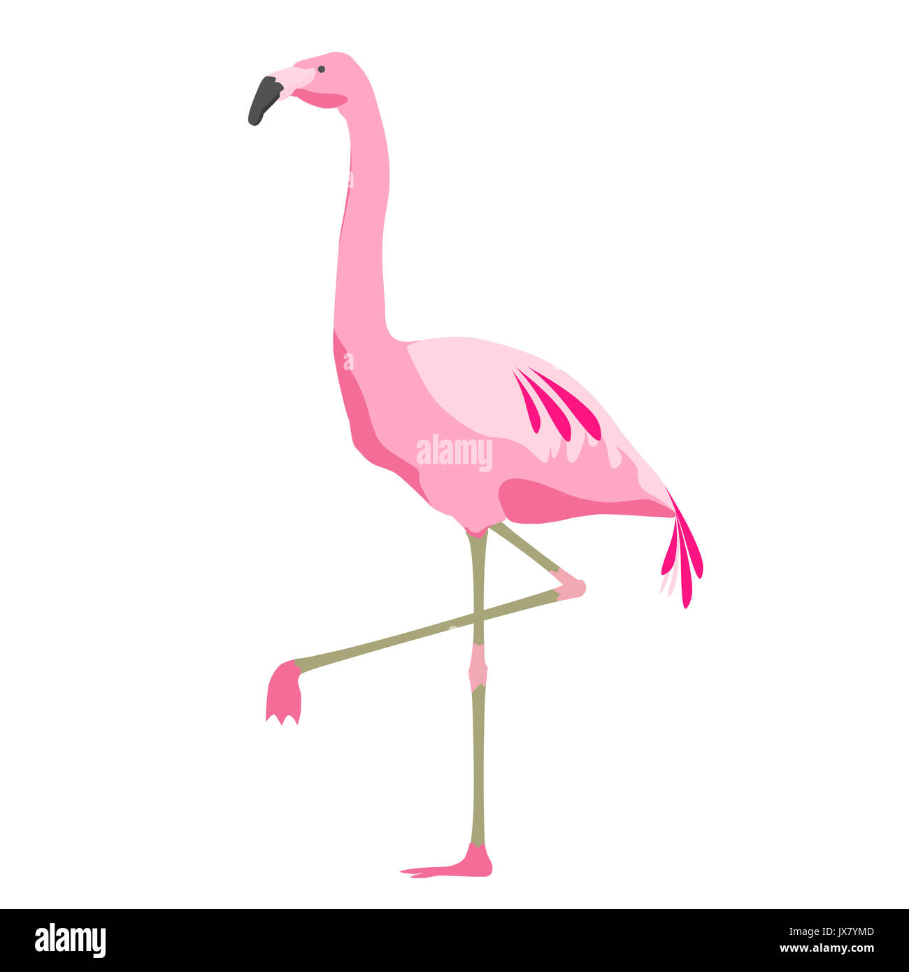 Rosa Flamingo Vogel über weißen Hintergrund Stockfoto