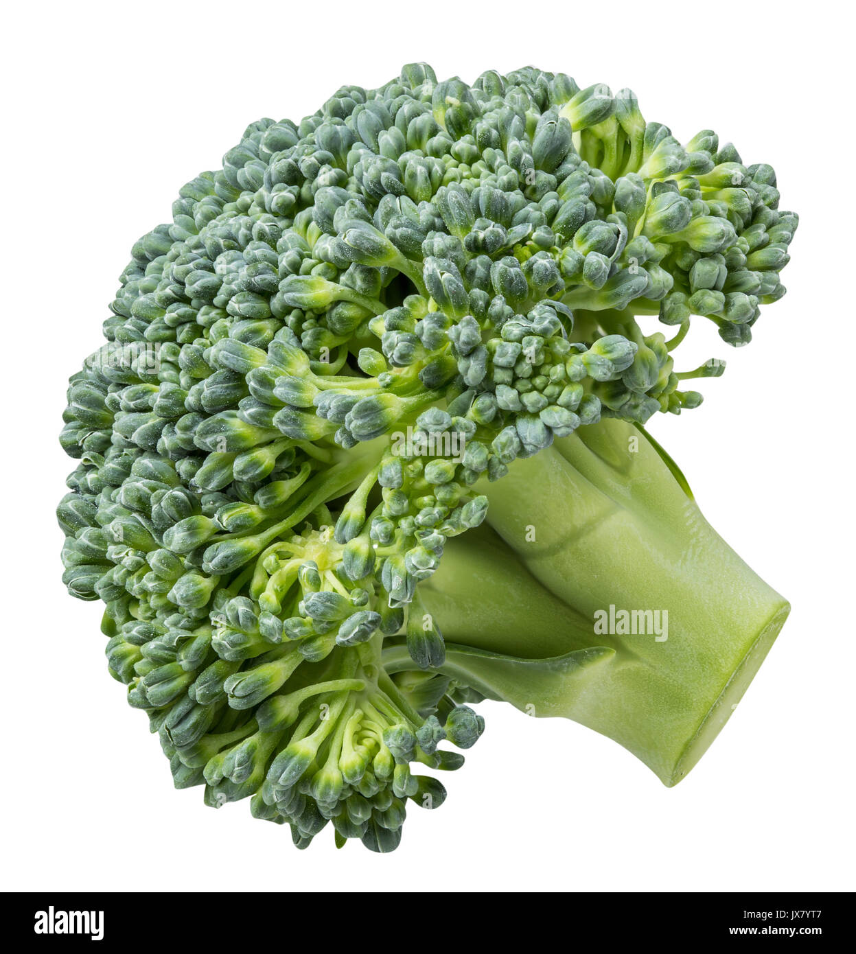 Kohl broccoli auf weißem Hintergrund mit Freistellungspfad isoliert Stockfoto