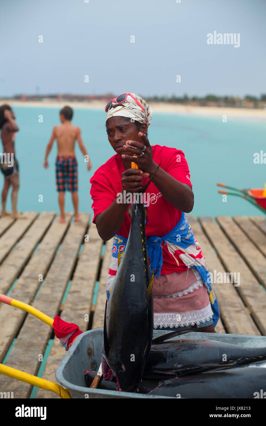 Kap Verde, Wiegen frisch gefangenen Thunfisch Stockfoto
