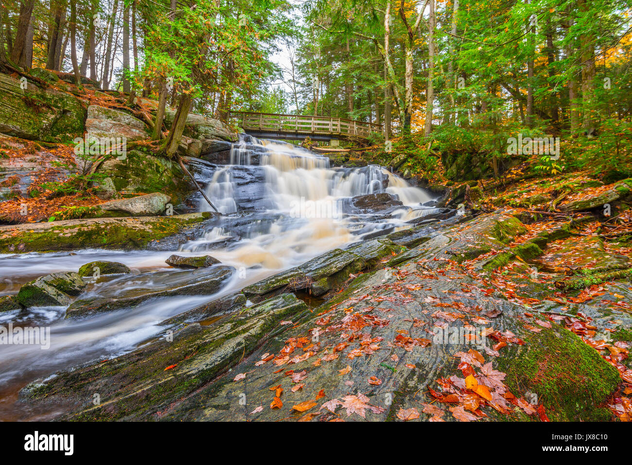Potts Falls sind in der Nähe der Stadt Bobcaygeon Ontario im Bezirk der Muskoka gelegen. Stockfoto