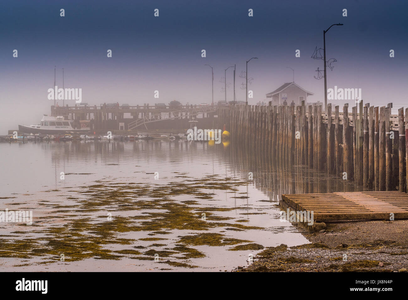 St-Andrew's Wharf Stockfoto