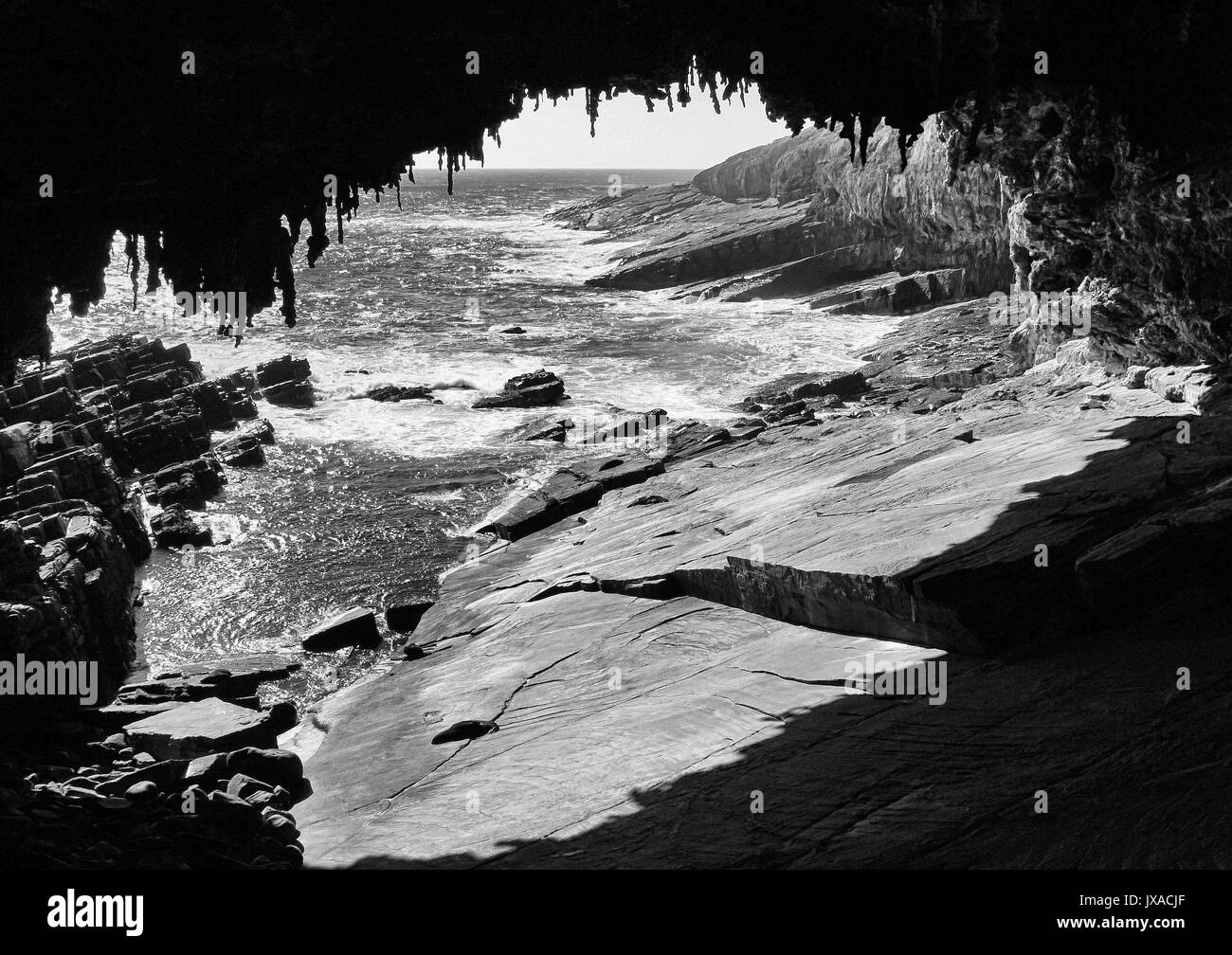 Grotte Admirals Arch, Kangaroo Island, South Australia Stockfoto