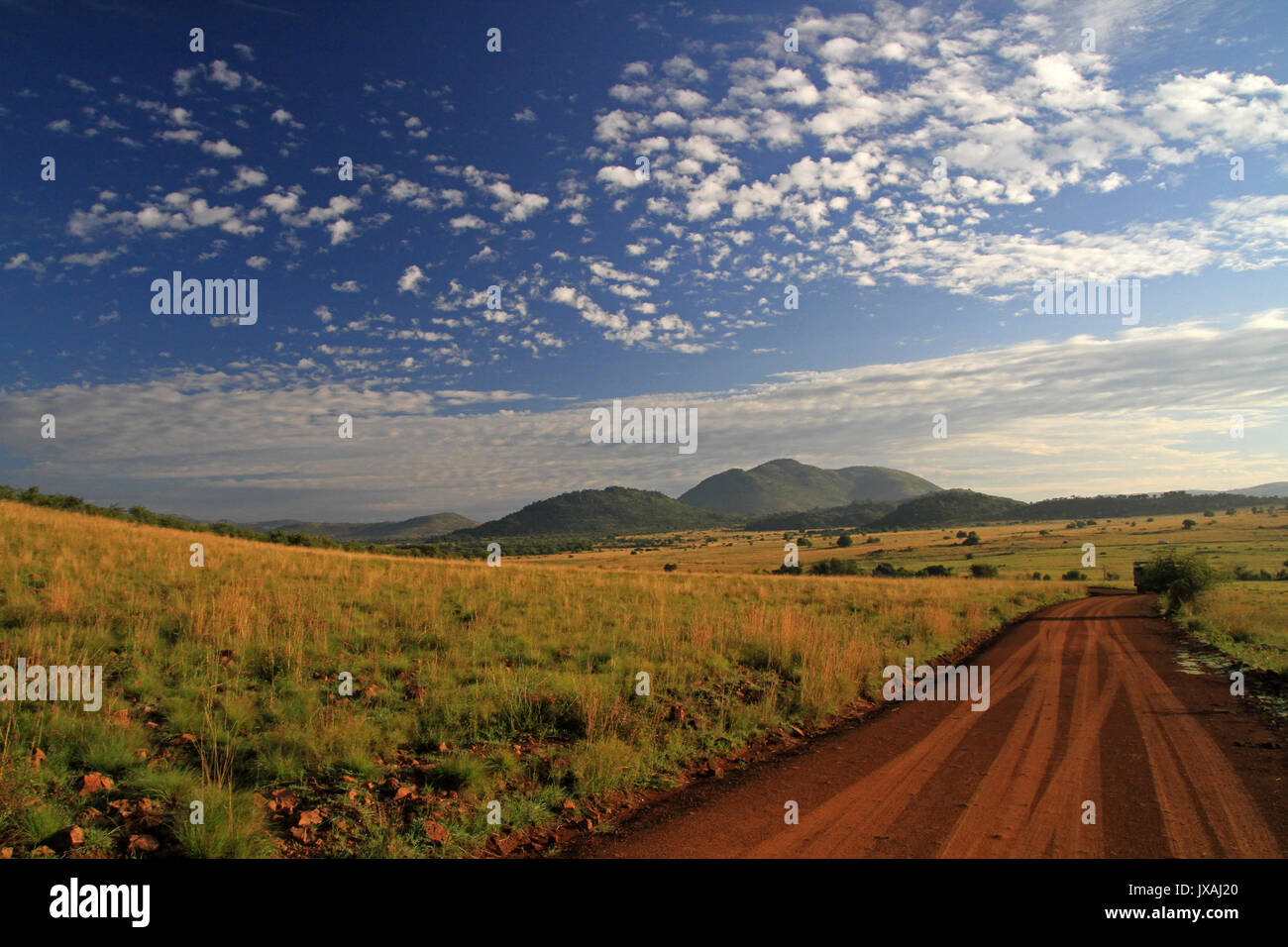 Pilanesberg National Park, Südafrika Stockfoto