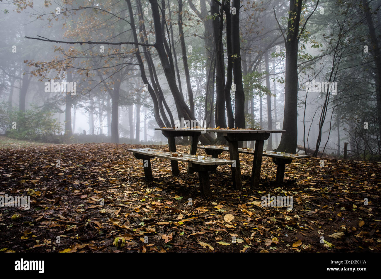 Alte Picknick Tisch in einem Wald im Herbst. Stockfoto