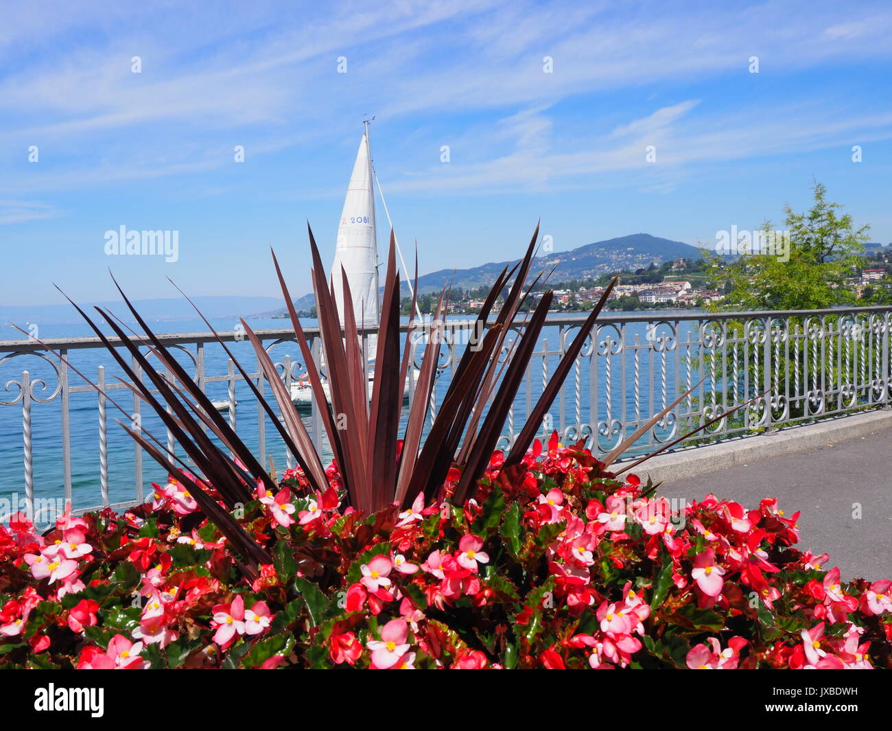 Schönheit Bunte rote Blumen auf der Promenade in Montreux am Genfer See in  der Schweiz Stockfotografie - Alamy