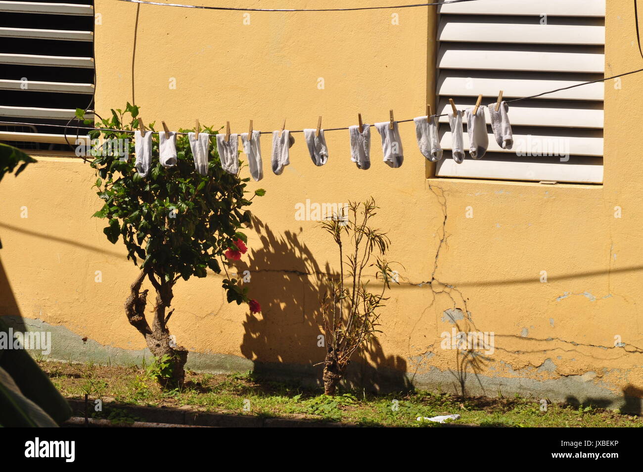 Weiße Socken trocknen auf der Wäscheleine Stockfoto