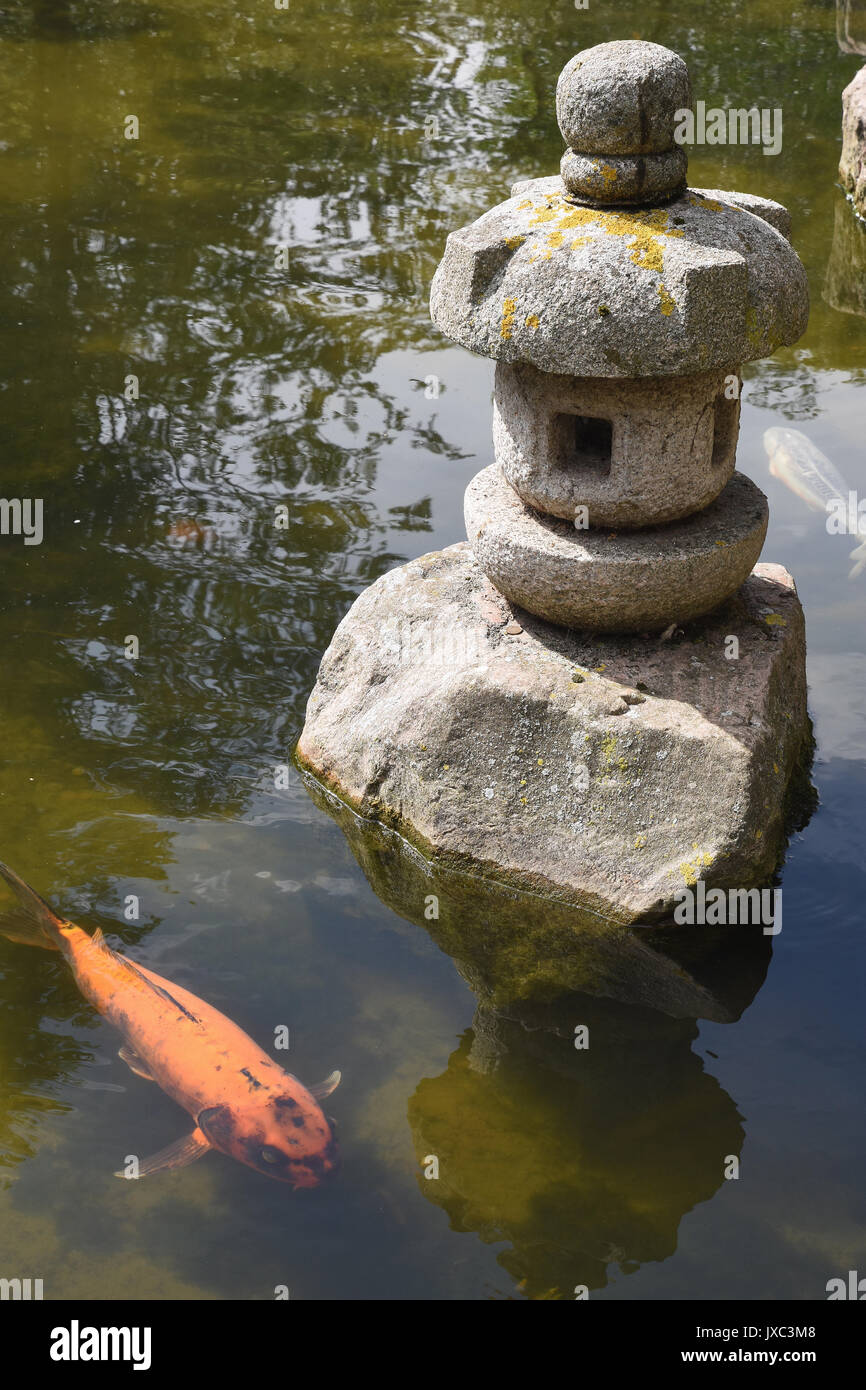 Kyoto Garten, Japanischer Garten, Holland Park, Kensington, London, Großbritannien Stockfoto