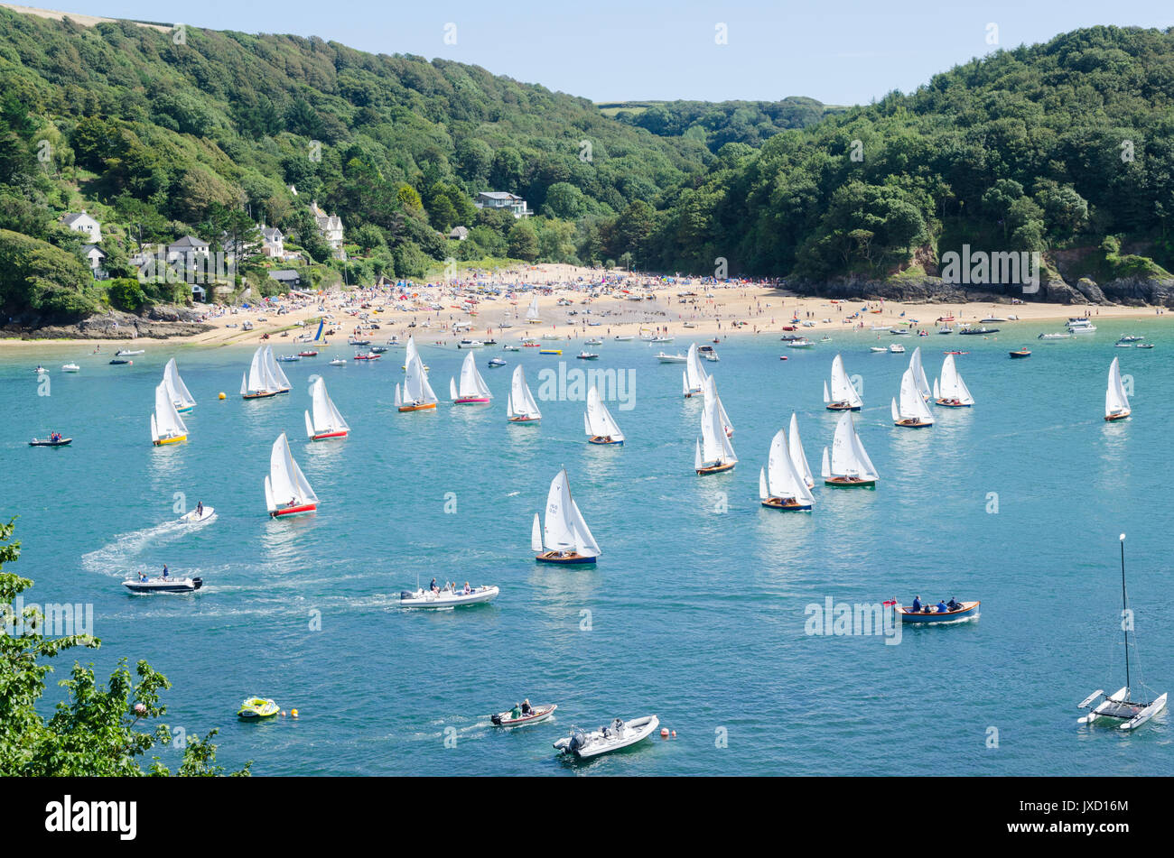 Salcombe-Jollen racing in der salcombe Mündung während des Yacht Club Regatta Woche Stockfoto