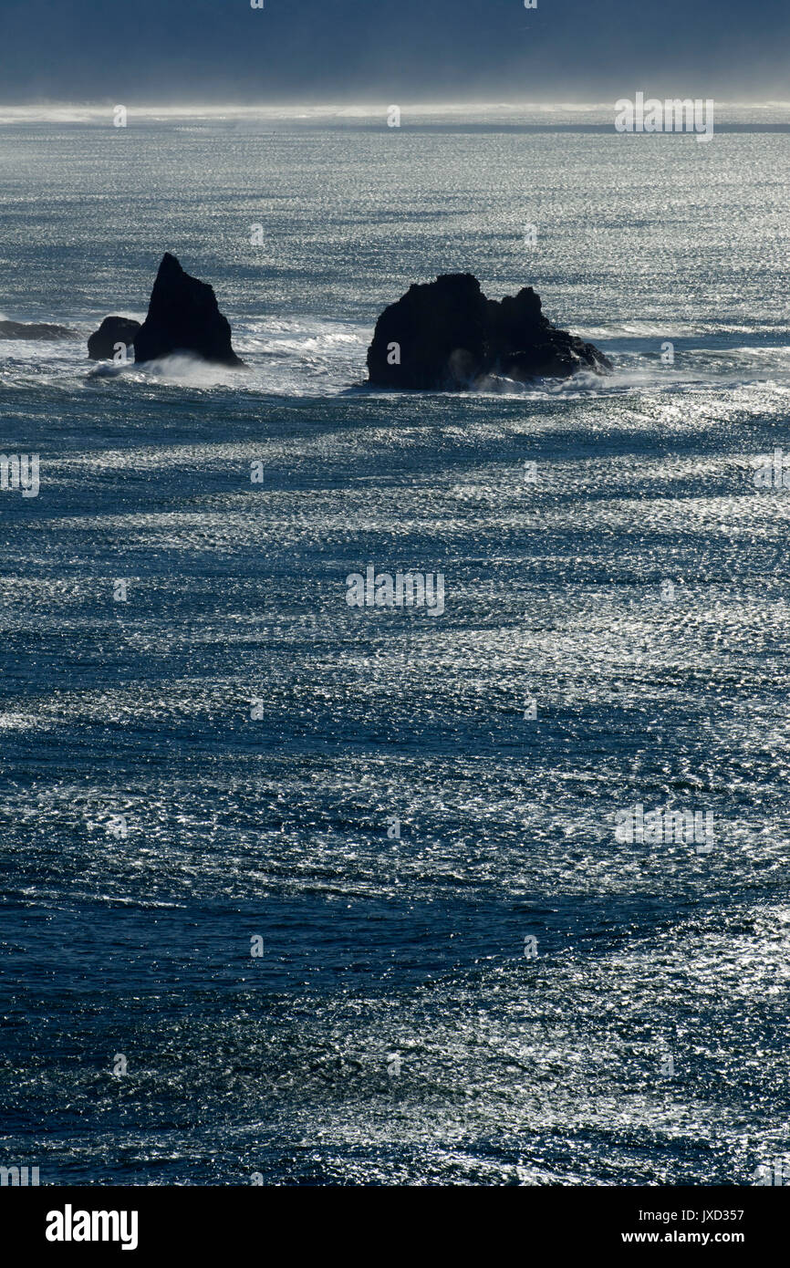 Rocks Off Maxwell Point, Cape Meares State Park, Illinois Stockfoto