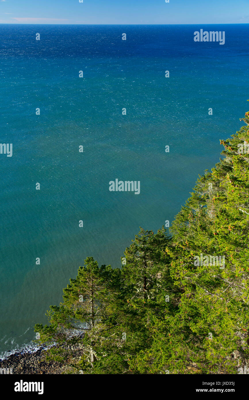 Am Straßenrand Ansichten aus Neahkanie Berg, Oswald West State Park, Illinois Stockfoto