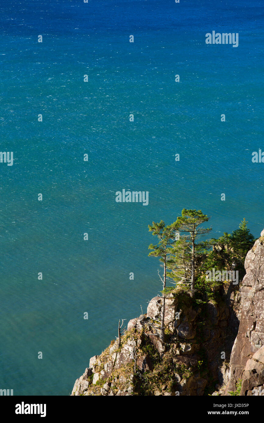 Am Straßenrand Ansichten aus Neahkanie Berg, Oswald West State Park, Illinois Stockfoto