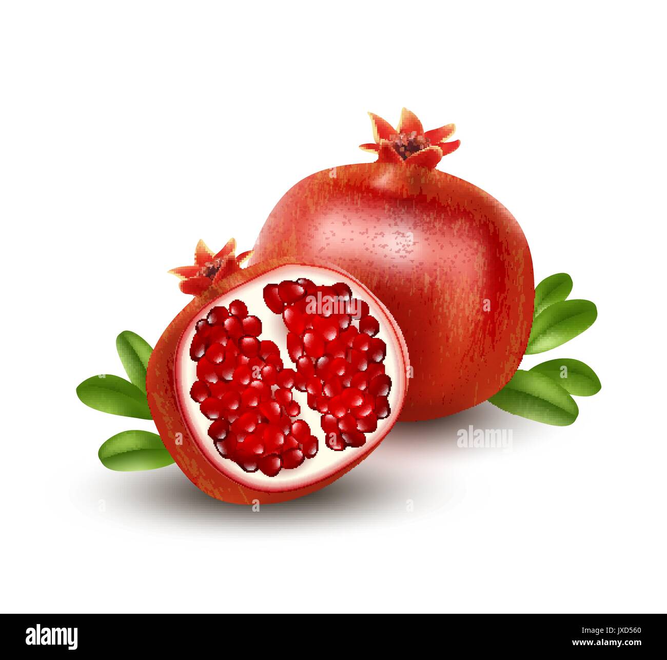 Realistische Granatapfel oder Garnet auf dem weißen Hintergrund. Vector Illustration Stock Vektor