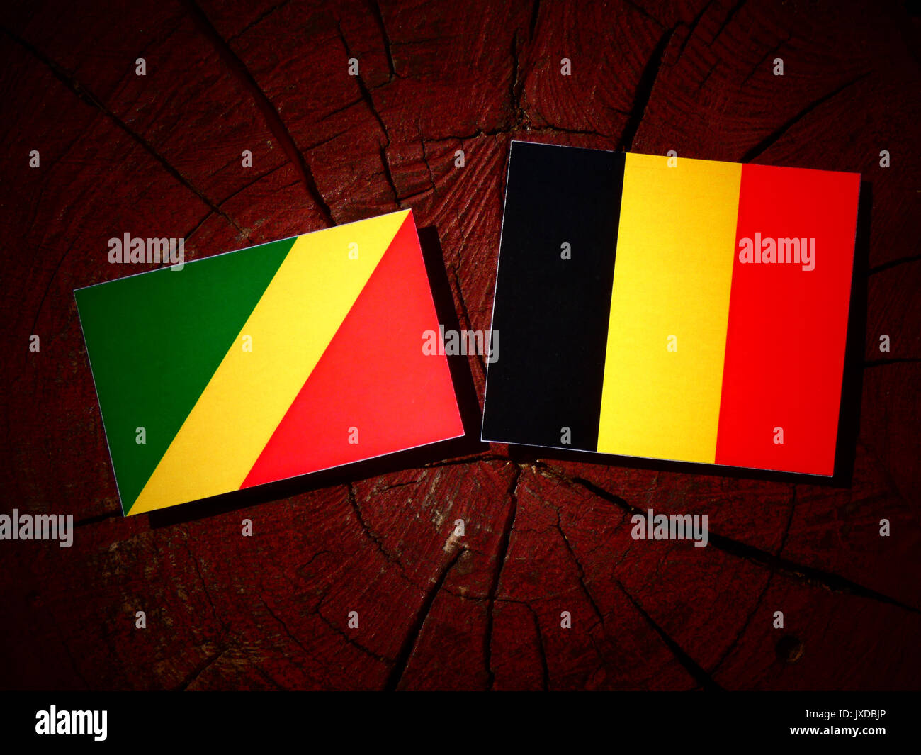 Republik Kongo Flagge mit belgischer Flagge auf einem Baumstumpf isoliert Stockfoto