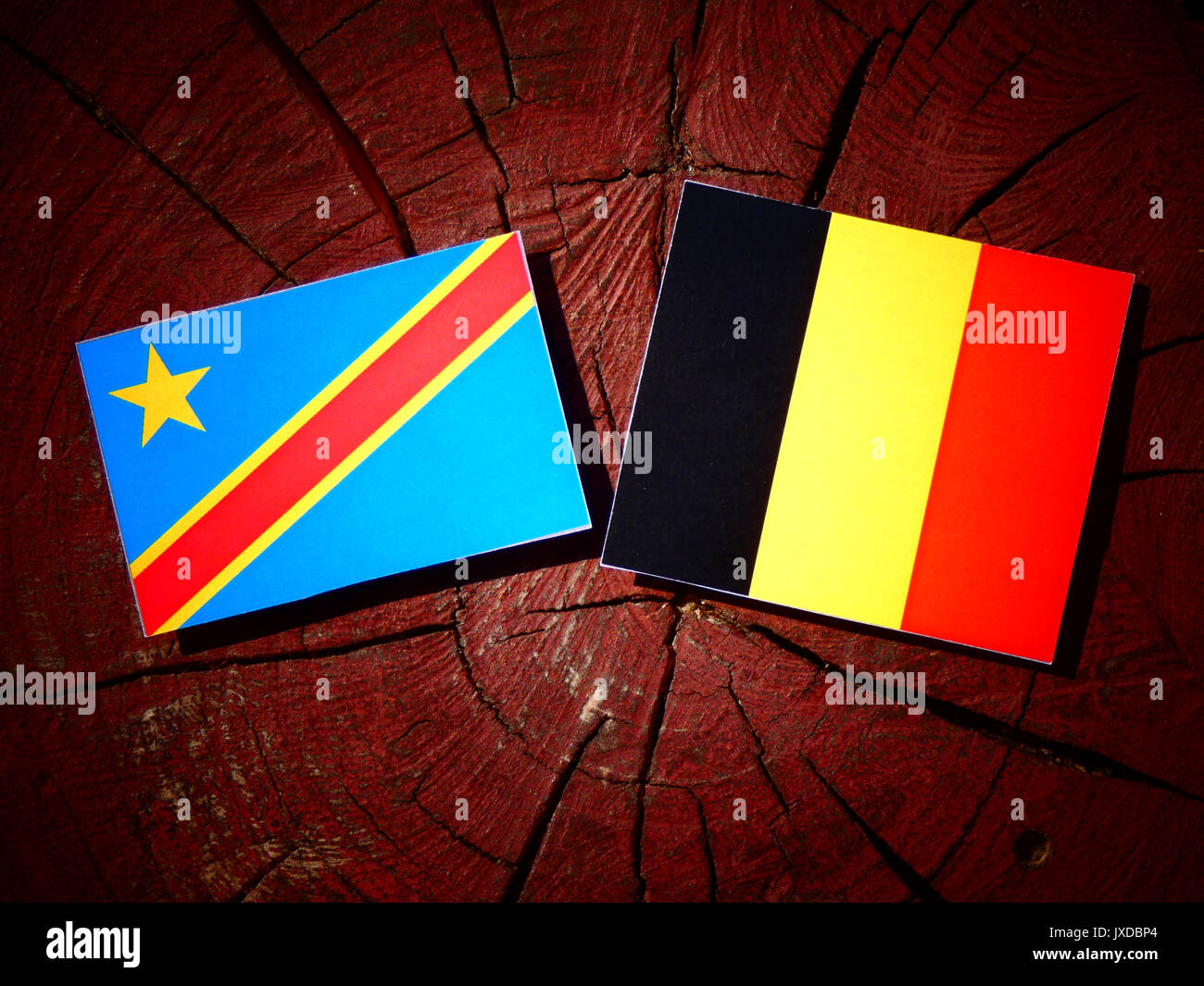Demokratische Republik Kongo Flagge mit belgischer Flagge auf einem Baumstumpf isoliert Stockfoto