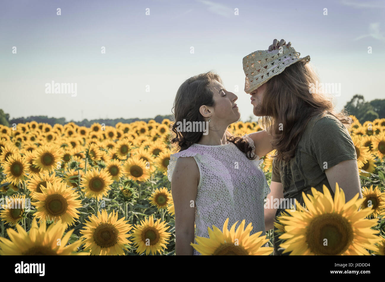 Spontane attraktive junge Brautpaar teilen einen guten Witz lacht schallend und umarmen einander im Freien in einem Sonnenblumenfeld Stockfoto