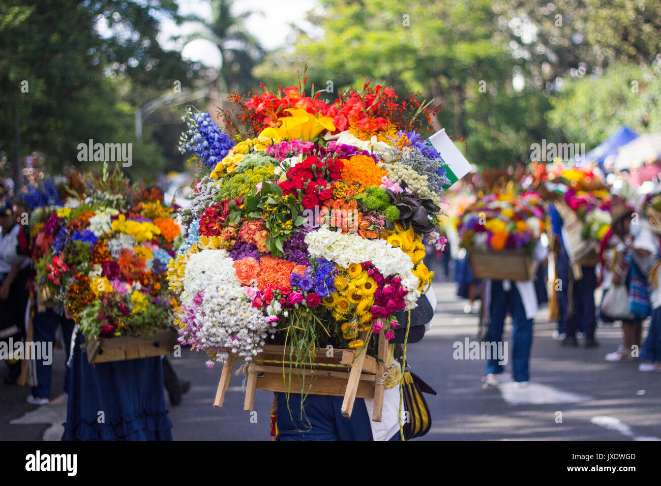 Ein Mann trägt Blüten mit der Holzkiste in ihr zurück in den letzten Tag des Festivals der Blumen in Medellin, Kolumbien am 8. August 2017. Stockfoto
