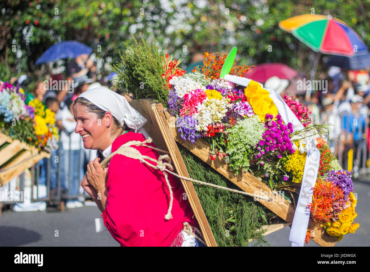 Eine Frau trägt Blüten mit der Holzkiste in ihr zurück in den letzten Tag des Festivals der Blumen in Medellin, Kolumbien am 8. August 2017. Stockfoto