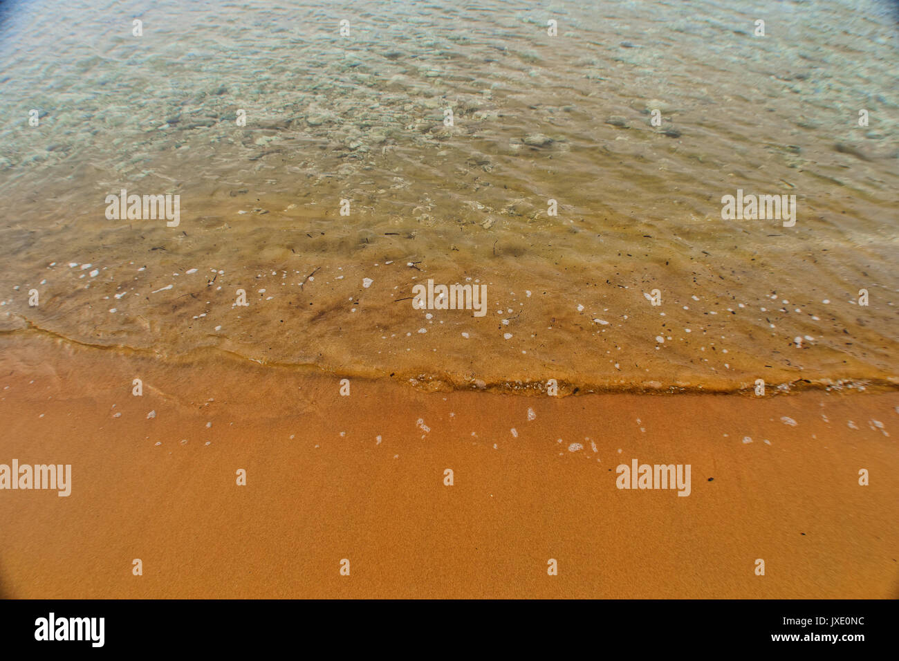 Meer Läppen vorsichtig auf eine Orange Beach Sand Stockfoto