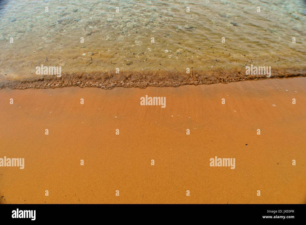 Meer Läppen vorsichtig auf eine Orange Beach Sand Stockfoto