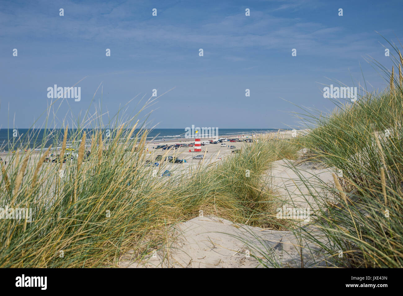 Henne Strand, Strand offen für Automobile im Süden von Dänemark Stockfoto