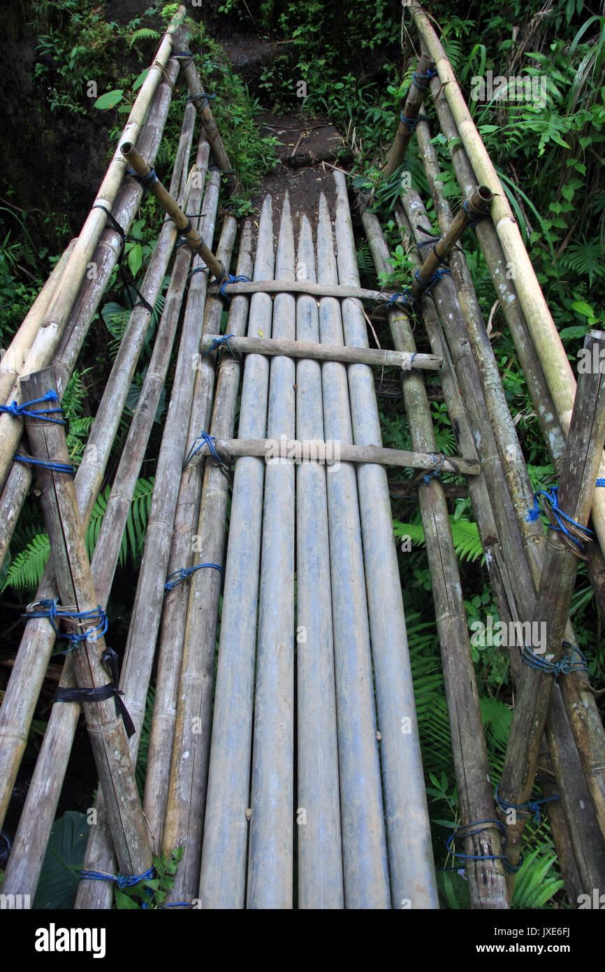 Holz-/Bambus und die Rope Bridge in Ubud, Bali, Indonesien Stockfoto