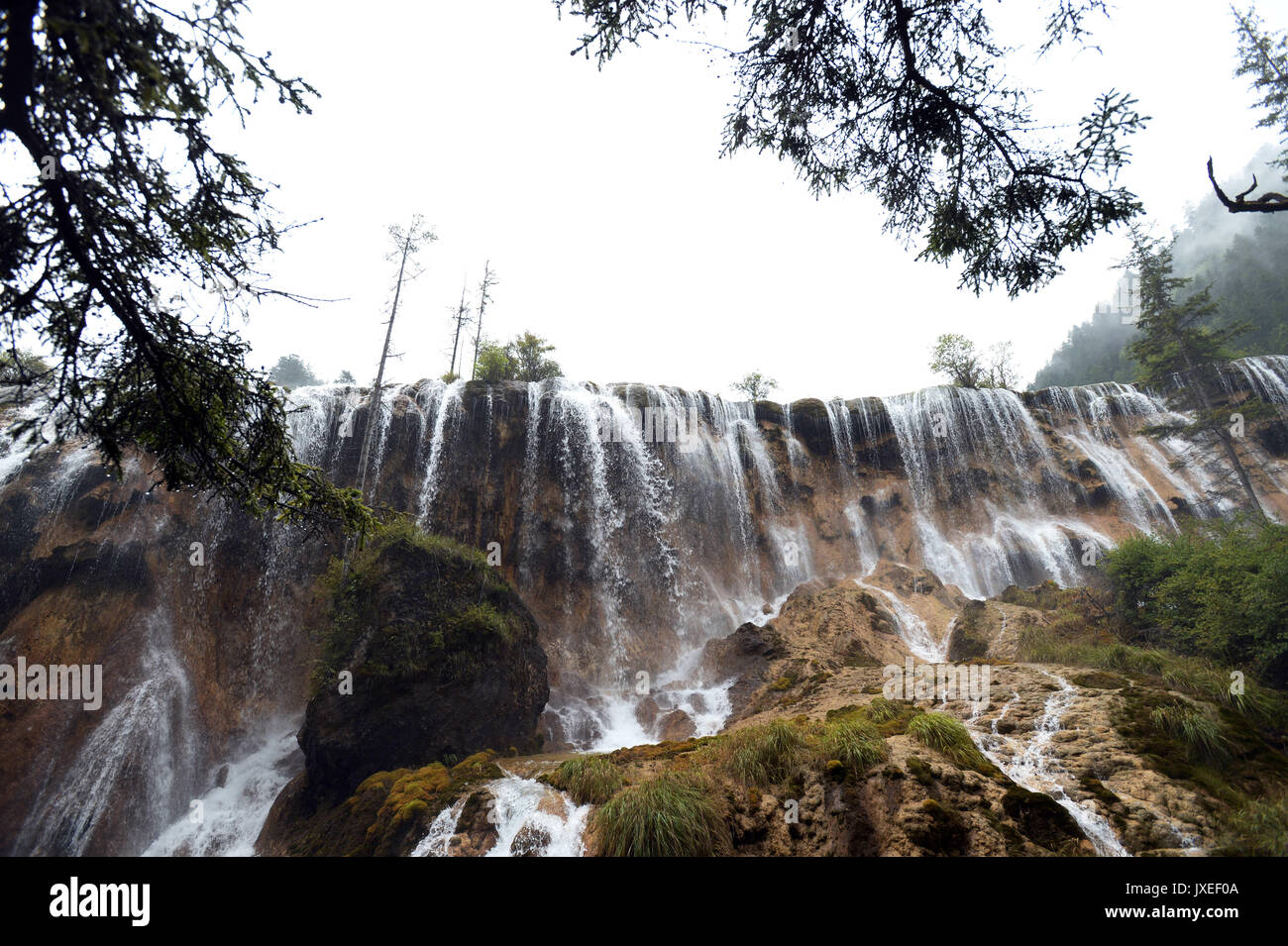 August 16, 2017 -'Ã"Â'Â¨Â°Â¢â°'Â¾Ã Â¯Â¹Â …','Ã"Â'Â¨Â°Â¢â°' … Â¾Ã Â¯Â¹Â, China - Sichuan, China (redaktionelle Verwendung. CHINA). Pearl Shoal Wasserfall ist ein Wasserfall in Jiuzhaigou, Aba-Ngawa tibetischen autonomen Präfektur Qiang im Norden der Provinz Sichuan, China. Der Wasserfall liegt auf einem der Nebenflüsse des Bailong River. Auf einer Höhe von 2.433 m (7,982 ft) befindet sich oben auf der Wasserfall ist 162,5 m (533 ft) breit. Es hat einen Sturz von 40 m (130 ft). Die Erdbeben Jiuzhaigou Scenic Area am 8. August 2017, die viele malerische Orte einschließlich Pe Stockfoto