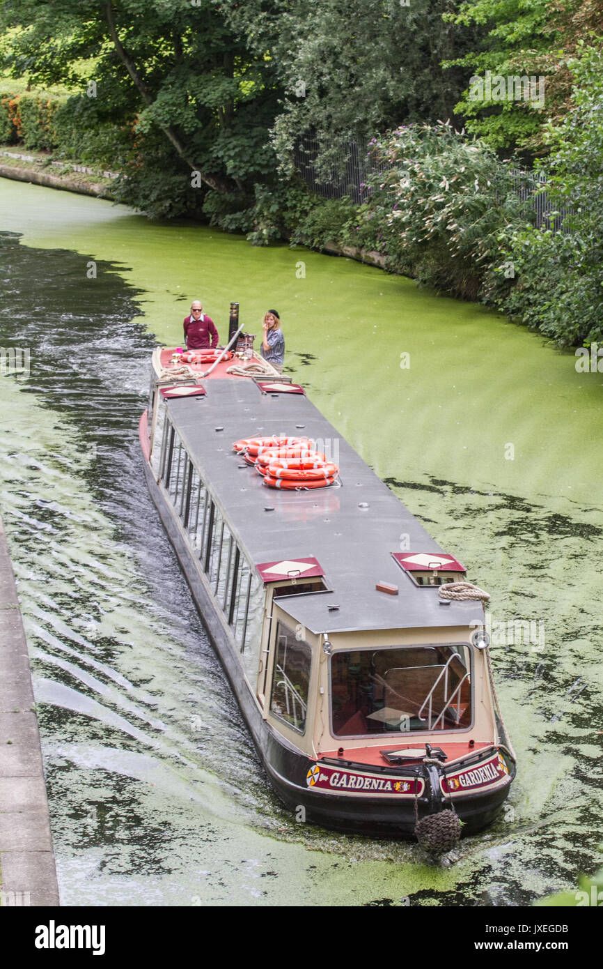 London, Großbritannien. 16 Aug, 2017. Ein lastkahn Navigiert im Regent's Canal London die in wachsenden Algen aufgrund der jüngsten warmen Bedingungen Kredit: Amer ghazzal/Alamy Leben Nachrichten abgedeckt ist Stockfoto