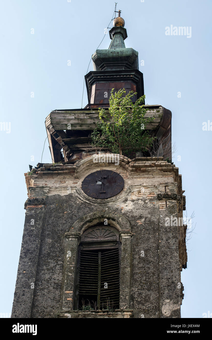 Verlassene Kirche mit einem Baum wachsen auf es Stockfoto