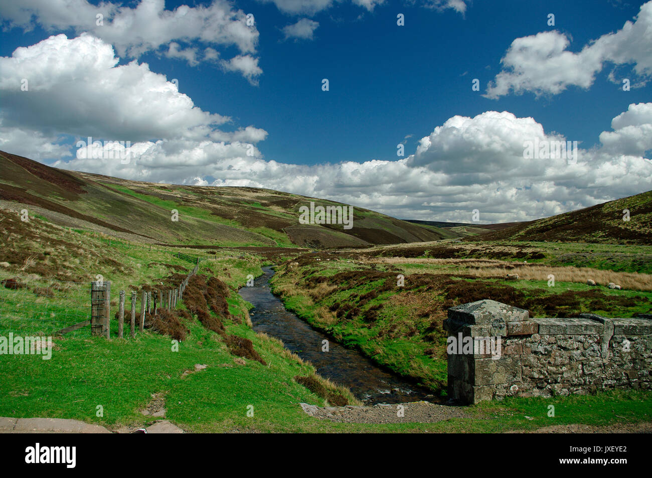 Faseny Wasser und Lammermuir Hills, Schottland Stockfoto