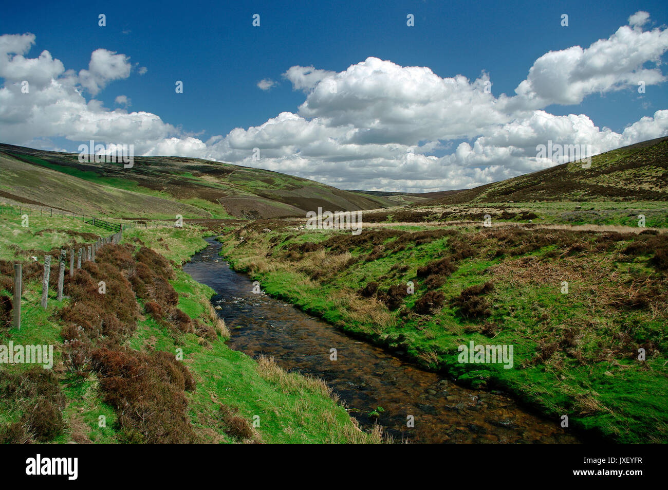 Faseny Wasser und Lammermuir Hills, Schottland Stockfoto
