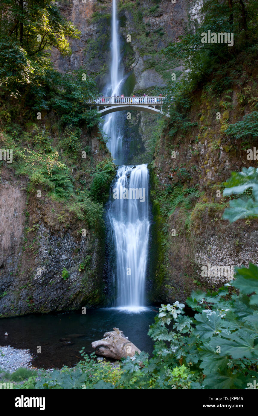 Tri Level Multnomah Falls in Oregon Stockfoto