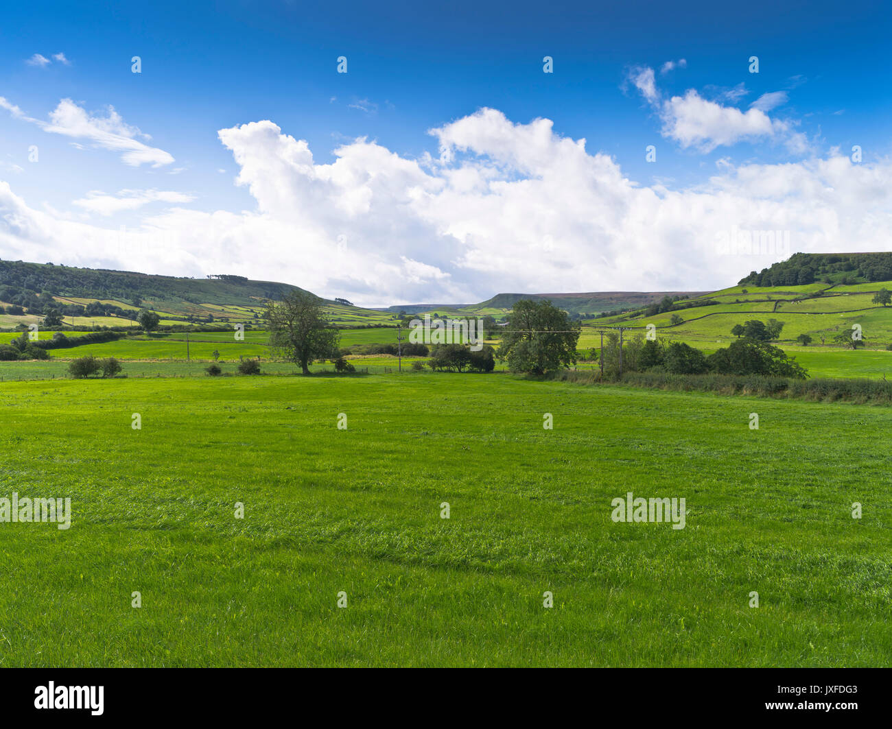 Dh Esk Valley DANBY York North Yorkshire Moors Felder mit Blick in das Tal von Danby Moor Stockfoto