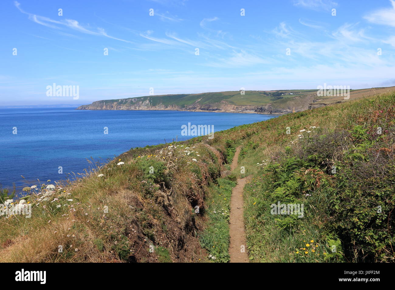 Cornish Coastal Path in der Nähe von Camborne, Cornwall. Großbritannien Stockfoto