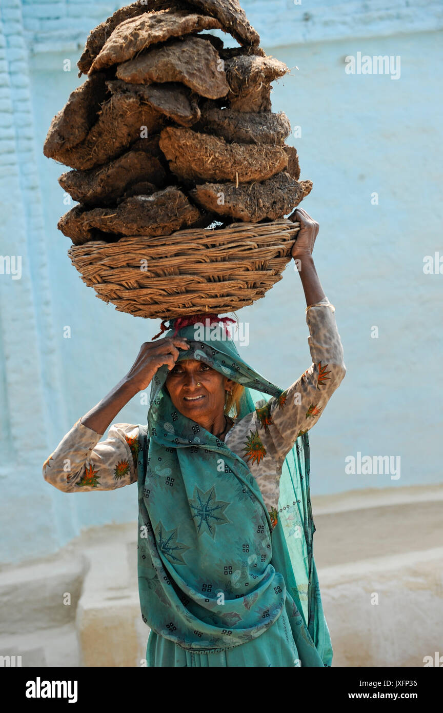 Indien Uttar Pradesh, Dalit Frauen im Dorf im Bundelkhand, Frau Kuhmist auf dem Kopf tragen, der Kuhdung als Brennstoff/Indien Uttar Pradesh verwendet wird, Frauen unterer Kasten und Kastenlose Frauen, Dalits, in Doerfern im Bundelkhand, Frau traegt Kuhdung mit dem Kopf, sterben Kuhfladen werdener als Brennstoff zum Heizen und Kochen verwendet Stockfoto