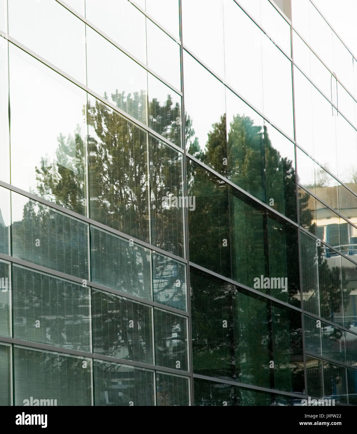 Bäume in der Glasfassade reflektiert Stockfoto