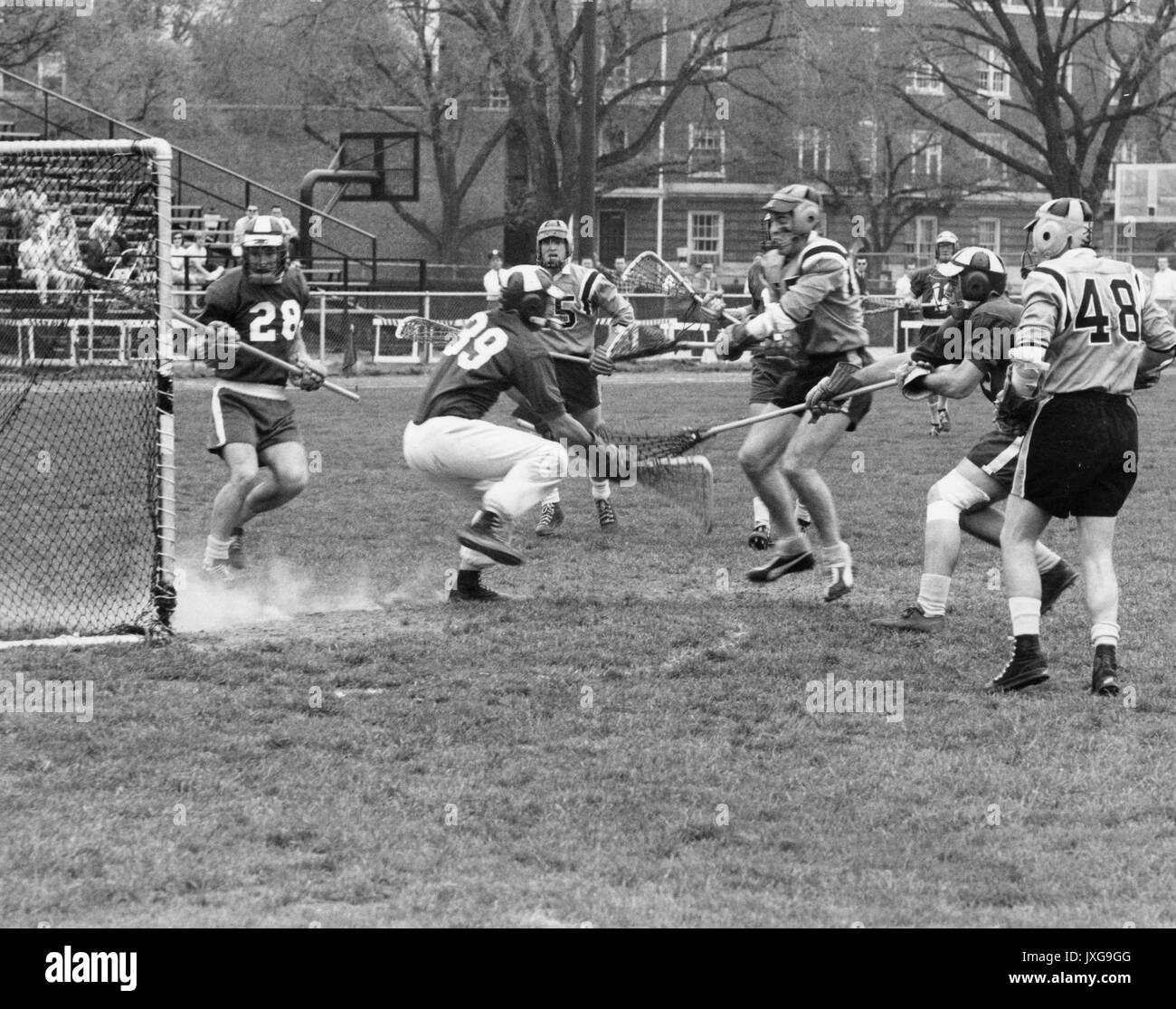 Lacrosse Aktion Schuß während einer nicht identifizierten lacrosse Spiel im Homewood Campus, Hopkins Spieler und Mitglieder des gegnerischen Teams sind scuffling über der Kugel, 1950. Stockfoto