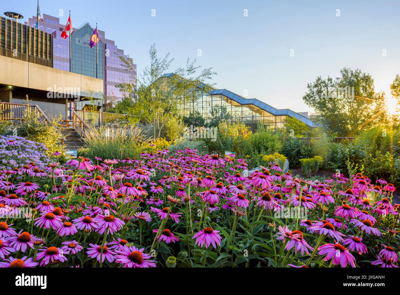 Community Medicine Wheel Garten im Shaw Conference Center, Edmonton, Alberta, Kanada Stockfoto