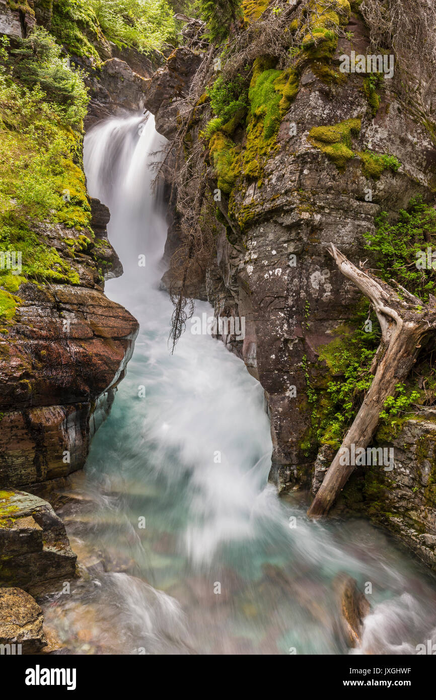 Cataract Creek stürzt über eine Schlucht bei Hidden Falls in der Nähe von See in Grinnell Glacier National Park, Montana Stockfoto