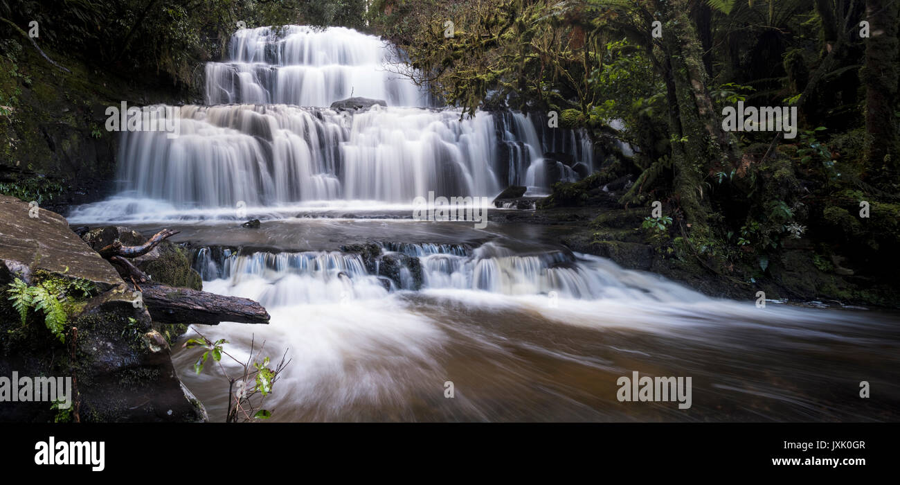 Herrliche Pūrākaunui fällt Stockfoto