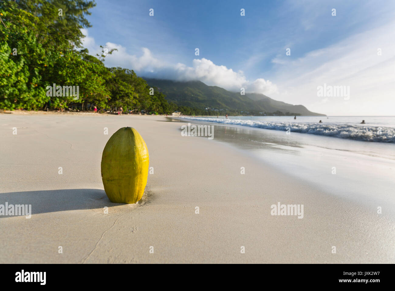Eine frische grüne Kokosnuss am Strand von Beau Vallon in Mahe, Seychellen mit unscharfen Menschen im Hintergrund Stockfoto