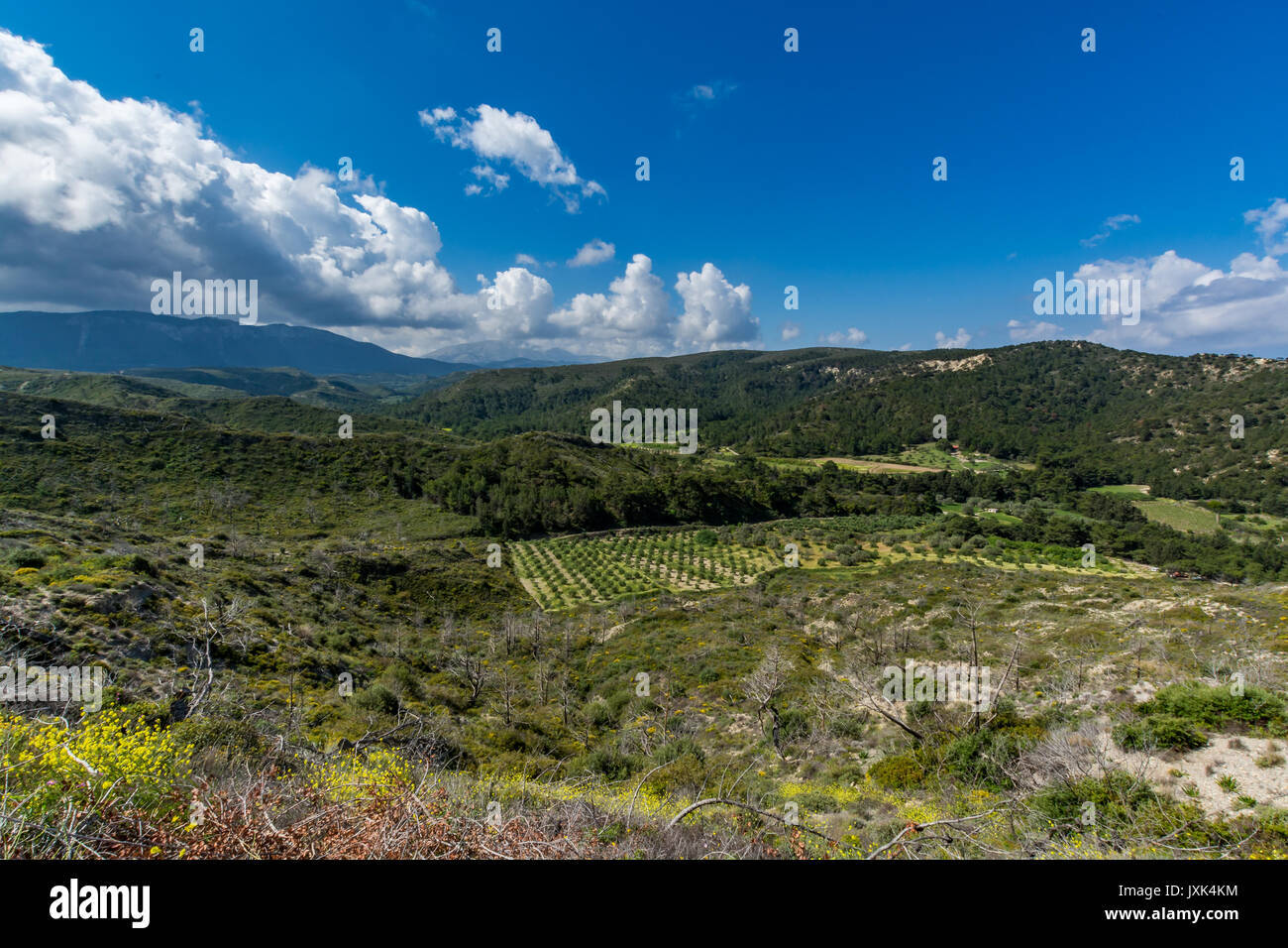 Die schöne Landschaft der Insel Rhodos, Griechenland Stockfoto