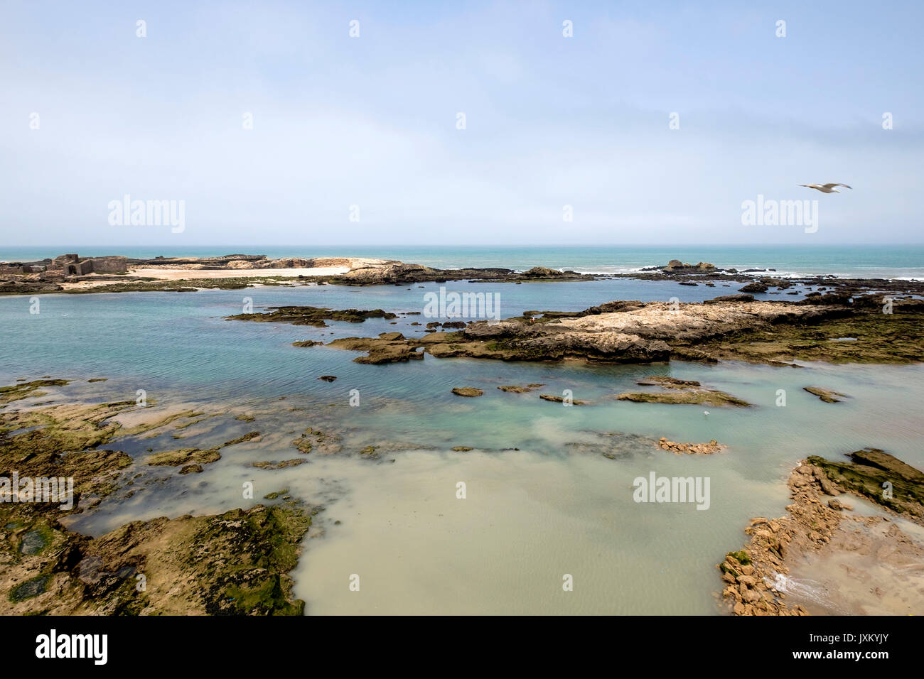 Marokko, Essaouira Stockfoto