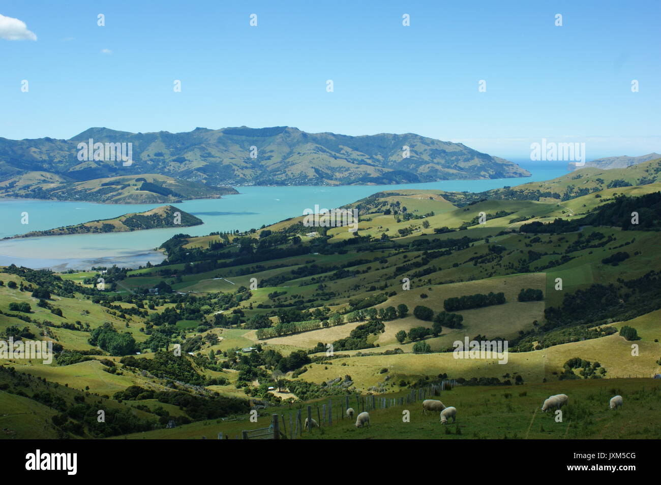 Akaroa Harbour, New Zealand Stockfoto