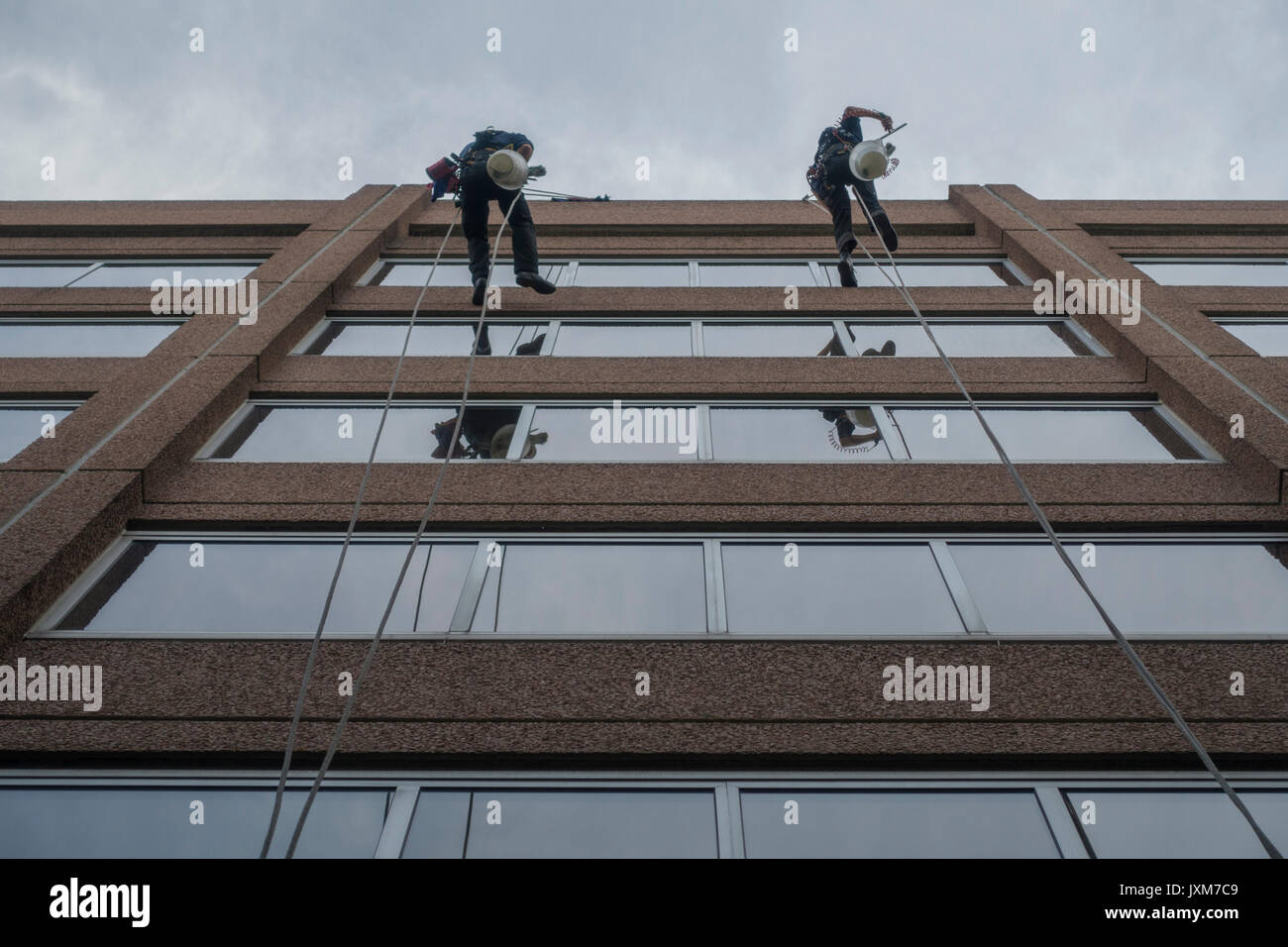 Zwei Männer Reinigung office Windows hoch Stockfoto